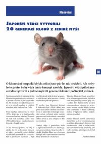 projekt_dtp_lejsek4-page-004[1].jpg